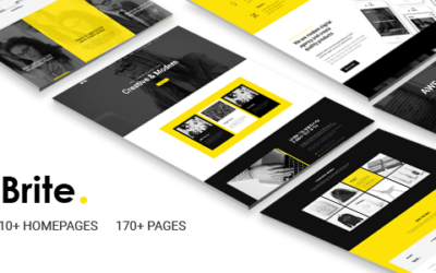 Brite | Responsive MultiPurpose HTML5 Website Template | Business