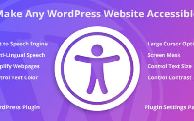 Accessibility WordPress Plugin