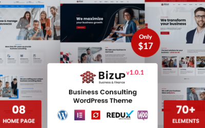 Bizup – Business Consulting WordPress Theme